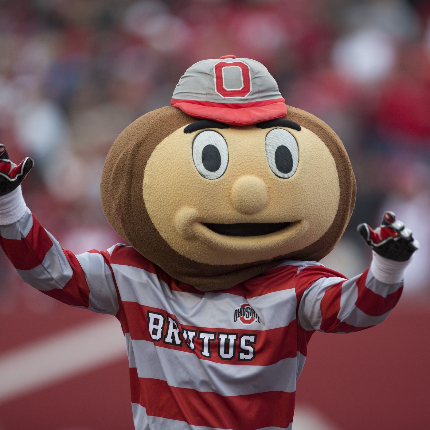 Ohio State Mascot Brutus Buckeye