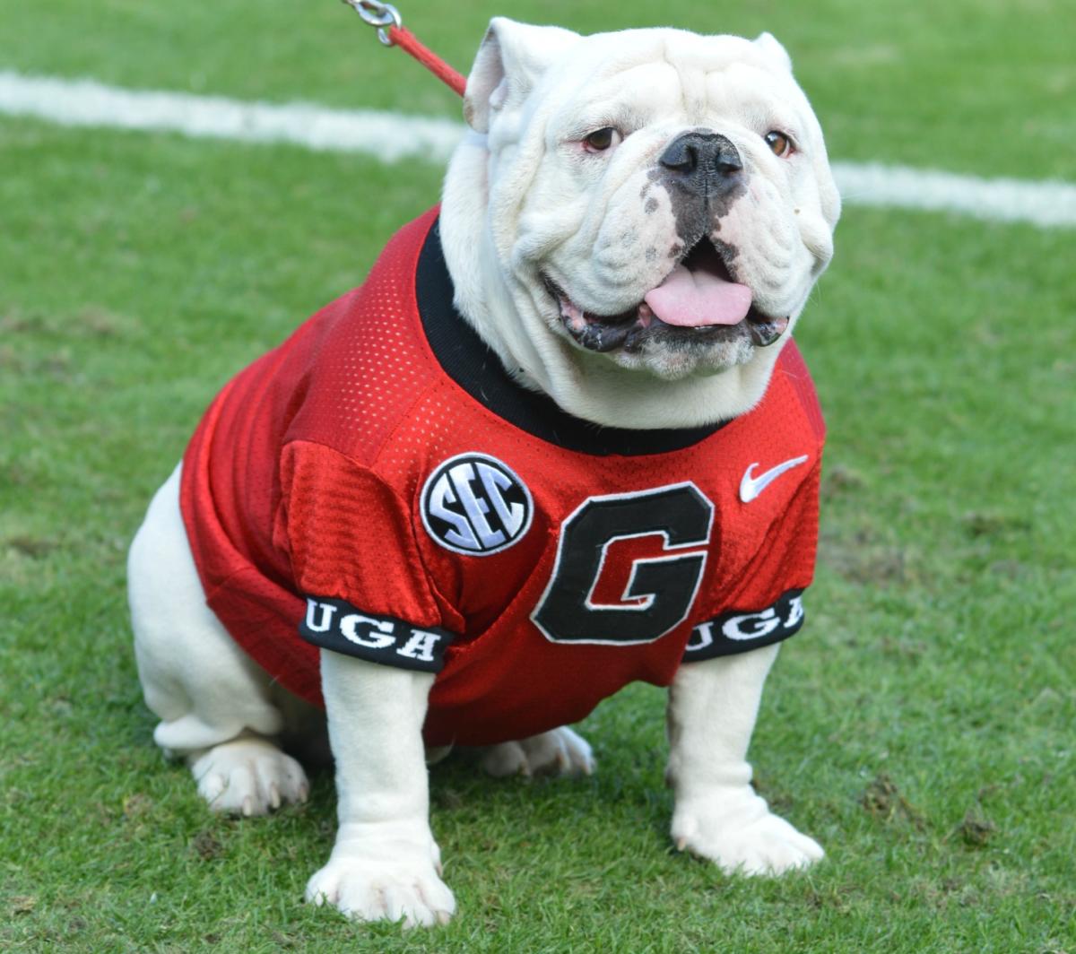 Georgia Bulldog Gamdays