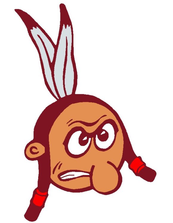 College Mascots Forced to Change